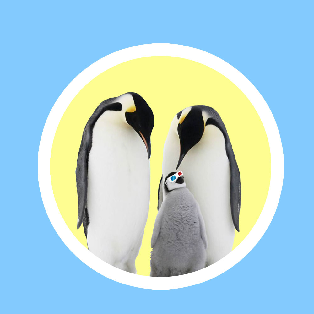 social media marketing wiidoo media digital marketing agency