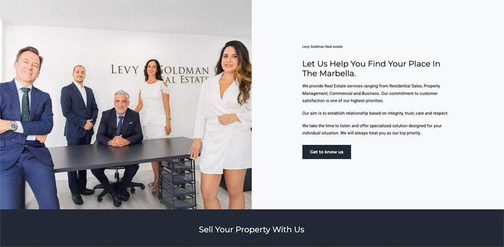 levy goldman luxury real estate agents marbella wordpress website design levy goldman luxury real estate agents marbella wordpress website design