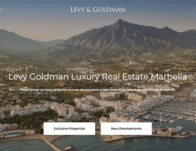 levy goldman real estate wordpress website design marbella costa del sol